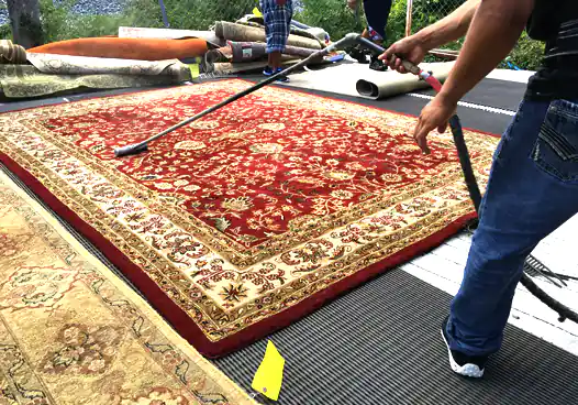 Rug Dust Cleaning Service