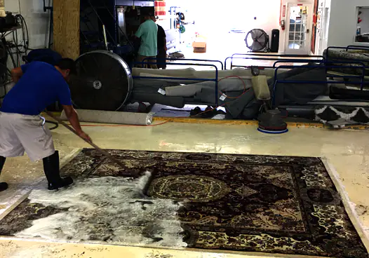 Area Oriental Rug Cleaning Miami