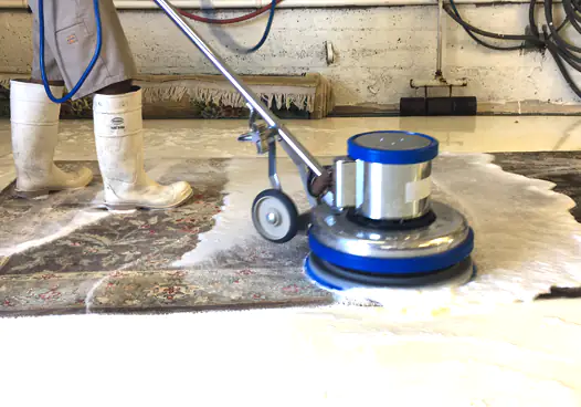 Area Rug Cleaning Services Miami