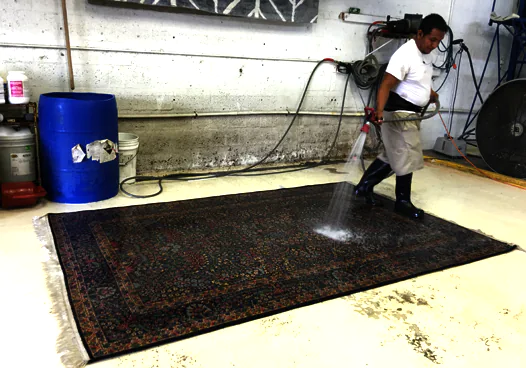 Area Rug Cleaning Services in Miami