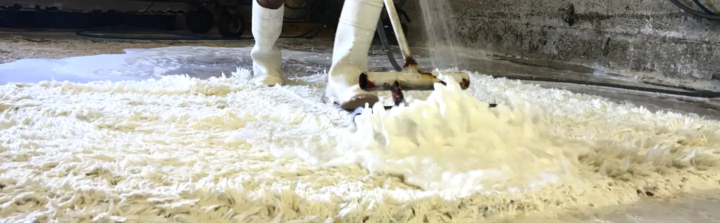 Wool Rug Cleaning by Hand