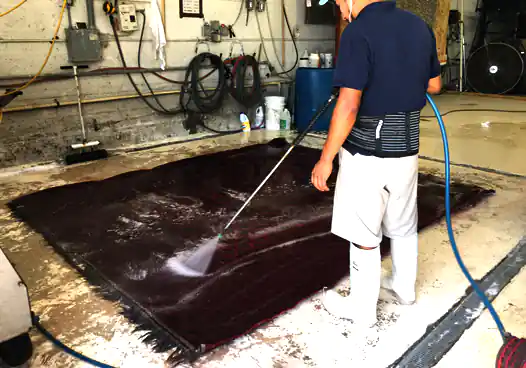 Persian Rug Cleaning Services