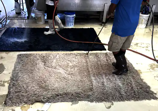Rug Washing Process