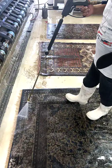 Area Rug Clean Service