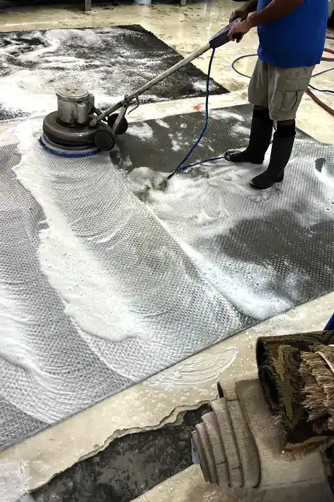 Modern Rug Clean Services