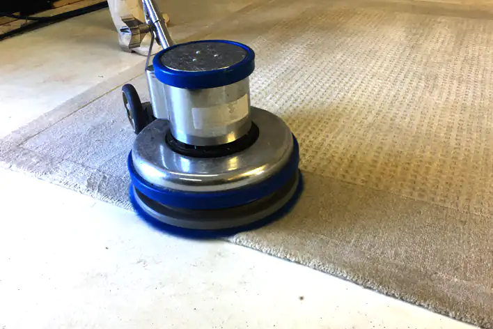 Modern Rug Cleaning Service