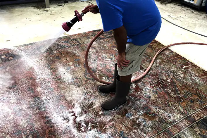Persian Rug Cleaning Service
