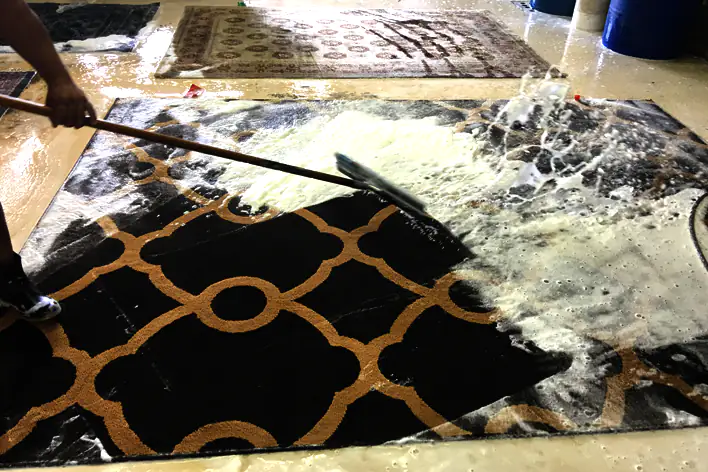 Persian Rug Cleaning