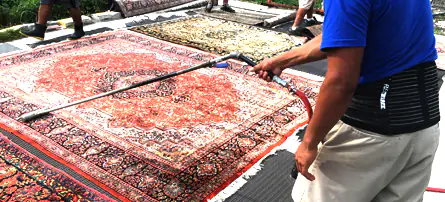 Rug Dusting Service
