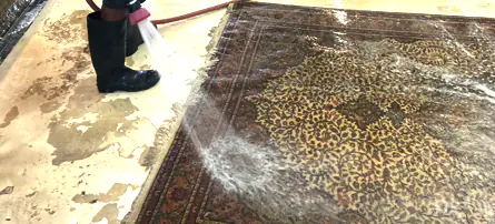 Rug Washing Process